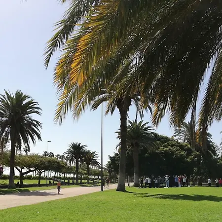 La Marina-ciudad Jardin 아파트 *